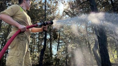 boluda orman yangini buyuk olcude kontrol altina alindi dlKSeIUY