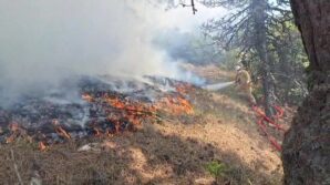 boluda orman yangini havadan ve karadan mudahale suruyor XjZchRlw