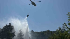 boluda ormanlik alanda cikan yangin buyumeden sonduruldu R616Lv5K