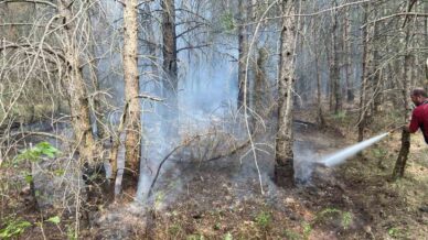 boluda ormanlik alanda cikan yangin kontrol altina alindi jwmga25c