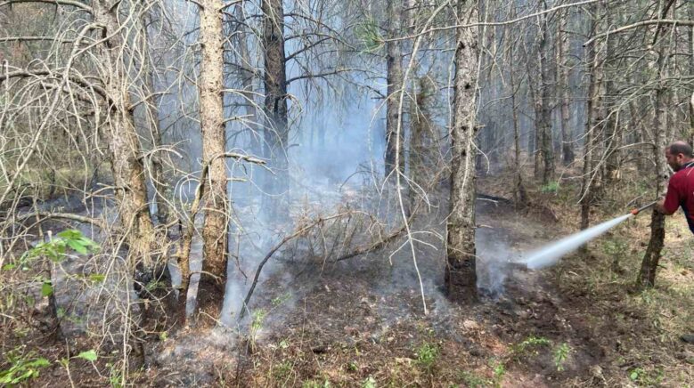 boluda ormanlik alanda cikan yangin kontrol altina alindi jwmga25c