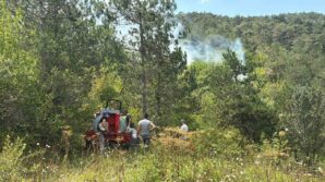 boluda ormanlik alanda yangin basladi nxQecLK3