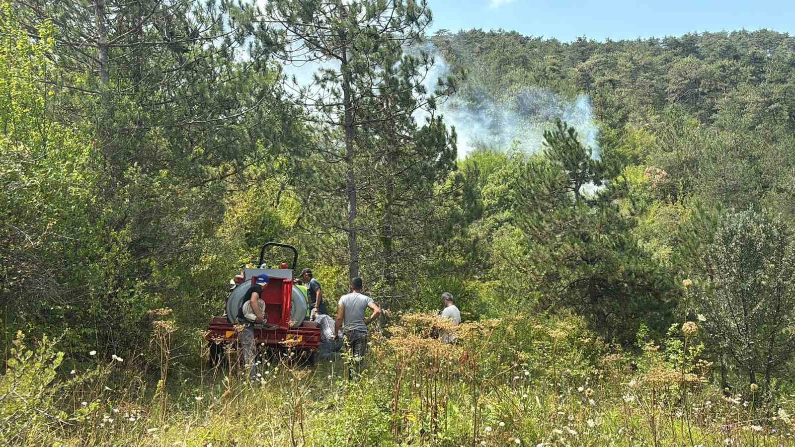 boluda ormanlik alanda yangin basladi