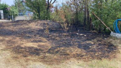 boluda otluk arazide cikan yangin eve sicramadan sonduruldu 4EyEOk6T