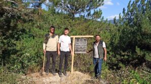 boluda yanan ormanlik alanlara feromon tuzaklari asildi 2qkzOVrn