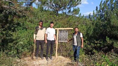boluda yanan ormanlik alanlara feromon tuzaklari asildi 2qkzOVrn