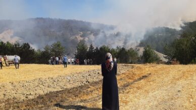 boludaki orman yangini 5saatinde f1ErzalN