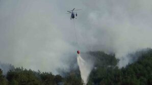 boludaki orman yangini kismen kontrol altinda 2 gozalti 9JjH32mJ