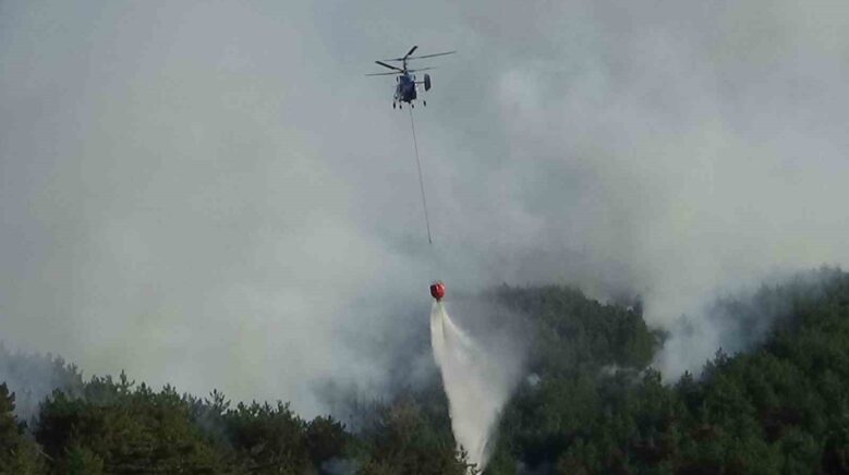 boludaki orman yangini kismen kontrol altinda 2 gozalti 9JjH32mJ