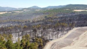 boludaki orman yangini tamamen kontrol altina alindi E9Zd3tSW