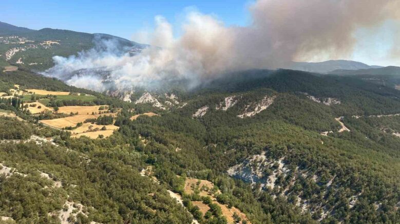 boludaki orman yanginina mudahale suruyor eqlezfbW