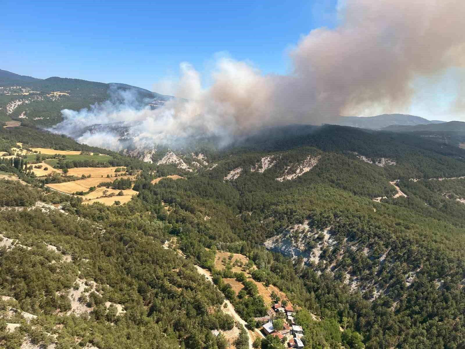 boludaki orman yanginina mudahale suruyor eqlezfbW