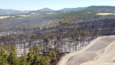 boludaki orman yanginiyla ilgili 1 kisi tutuklandi r9xNWPxV