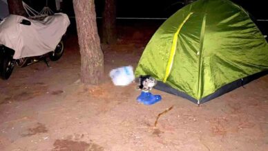 bosanmak uzere oldugu esini oldurup kactigi sinopta yakalanan sahis trabzona getirildi uEOmb3kM