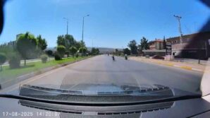 canlarini hice saydilar motosikletlerin uzerine yatarak yaristilar kJydd3YP