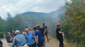 catalzeytinde cikan orman yangini kontrol altina alindi jygFQs13