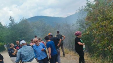 catalzeytinde cikan orman yangini kontrol altina alindi jygFQs13