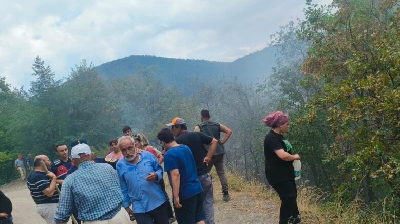 catalzeytinde cikan orman yangini kontrol altina alindi jygFQs13