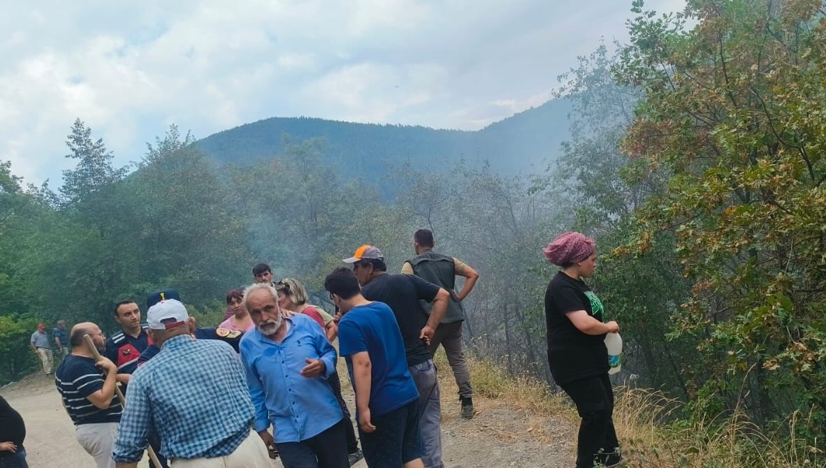 catalzeytinde cikan orman yangini kontrol altina alindi jygFQs13