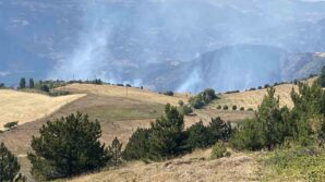 corumda orman yangini FmfEN48g