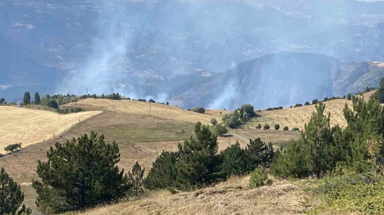 corumda orman yangini FmfEN48g