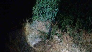 corumda sokak ortasinda silahli saldiriya ugrayan adam bacagindan yaralandi KCbCkUqQ