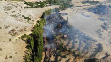 corumda tarlada cikan yangin kontrol altina alindi 1 kisi yaralandi OdYexpuj