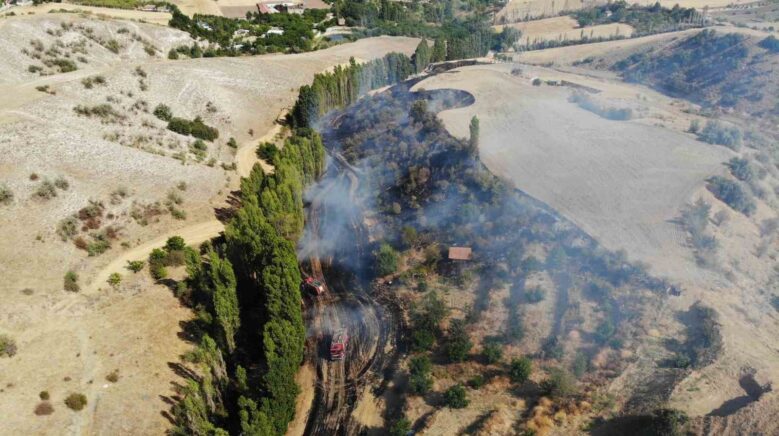 corumda tarlada cikan yangin kontrol altina alindi 1 kisi yaralandi OdYexpuj