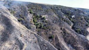 corumdaki orman yangini kontrol altina alindi ubebRwgZ