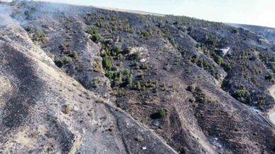 corumdaki orman yangini kontrol altina alindi ubebRwgZ