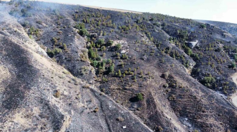 corumdaki orman yangini kontrol altina alindi ubebRwgZ