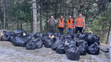 d100 karayolunun yanindaki ormandan 200 torba cop cikti SuOJHvpM