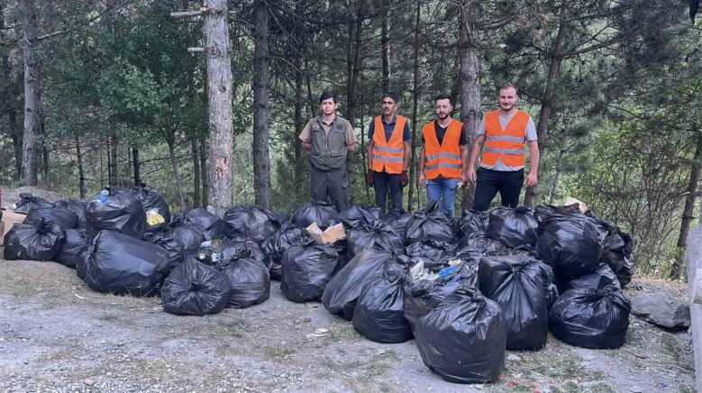 d100 karayolunun yanindaki ormandan 200 torba cop cikti SuOJHvpM