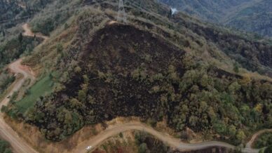 doc dr kadir alperen coskuner dogu karadeniz cok yagis alir bu nedenle yangin olmaz wCQeWIIj