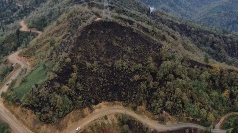 doc dr kadir alperen coskuner dogu karadeniz cok yagis alir bu nedenle yangin olmaz wCQeWIIj