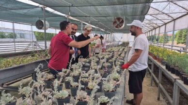 dogal afetlere akilli sera ile cozum HTEXvJ4F