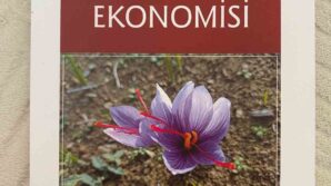 dunyanin en pahali baharatinin faydalari safran yetistiriciligi ve ekonomisi kitabinda anlatildi AiZOcX7i