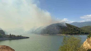 erbaada orman yangini 50 hektarlik alan kul oldu rvH5hZJt