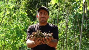 findiginin calindigini sandi kamerada domuz cikti A2MycWLS