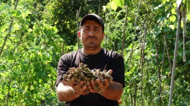 findiginin calindigini sandi kamerada domuz cikti A2MycWLS