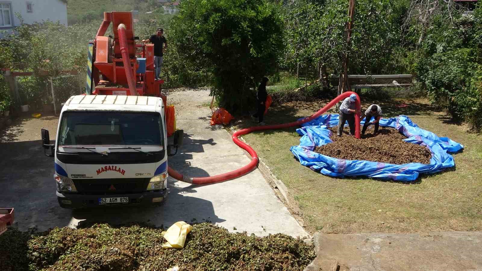 findikta patoz mesaisi basladi saatlik ucreti 4 bin 500 tl L62THUHb