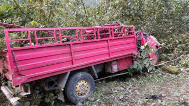 giresunda kamyonet findik bahcesine yuvarlandi 4 olu 1 yarali LWASIAbd