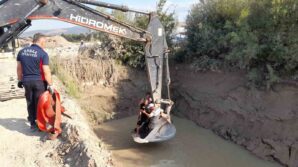 golete dusen inekler kepce ile kurtarildi rc2LBjt2