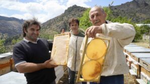 gumushanede 2025 yili bal hasadi ureticilerin yuzunu guldurdu 7Erg2P5v