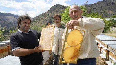 gumushanede 2025 yili bal hasadi ureticilerin yuzunu guldurdu 7Erg2P5v