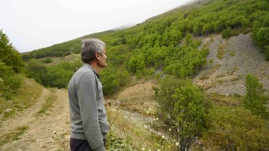 gumushanede emekli imam kendi imk nlariyla koyune 50 bin agac dikti uunQbLrn
