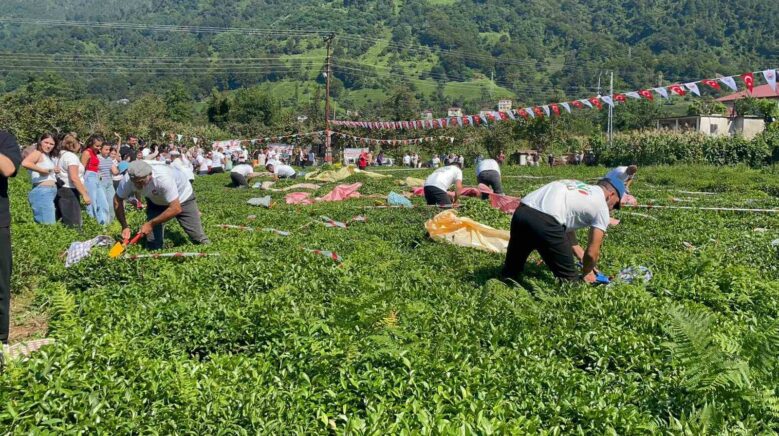 guneyden antepin zilgiti ve kuzeyden artvinin tulum sesi caylikta bulustu nXHNSf98