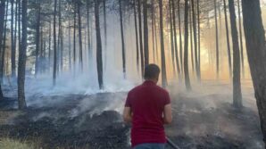 hanonude cikan orman yangini sonduruldu 1Q794hMp