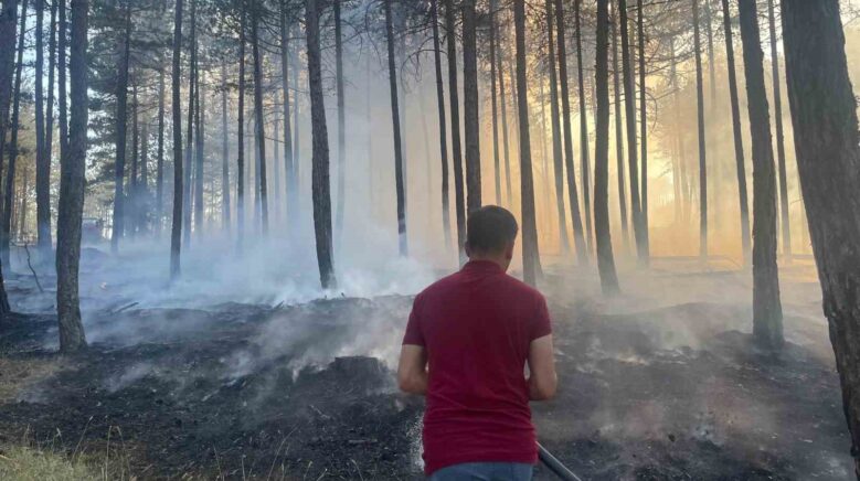 hanonude cikan orman yangini sonduruldu 1Q794hMp