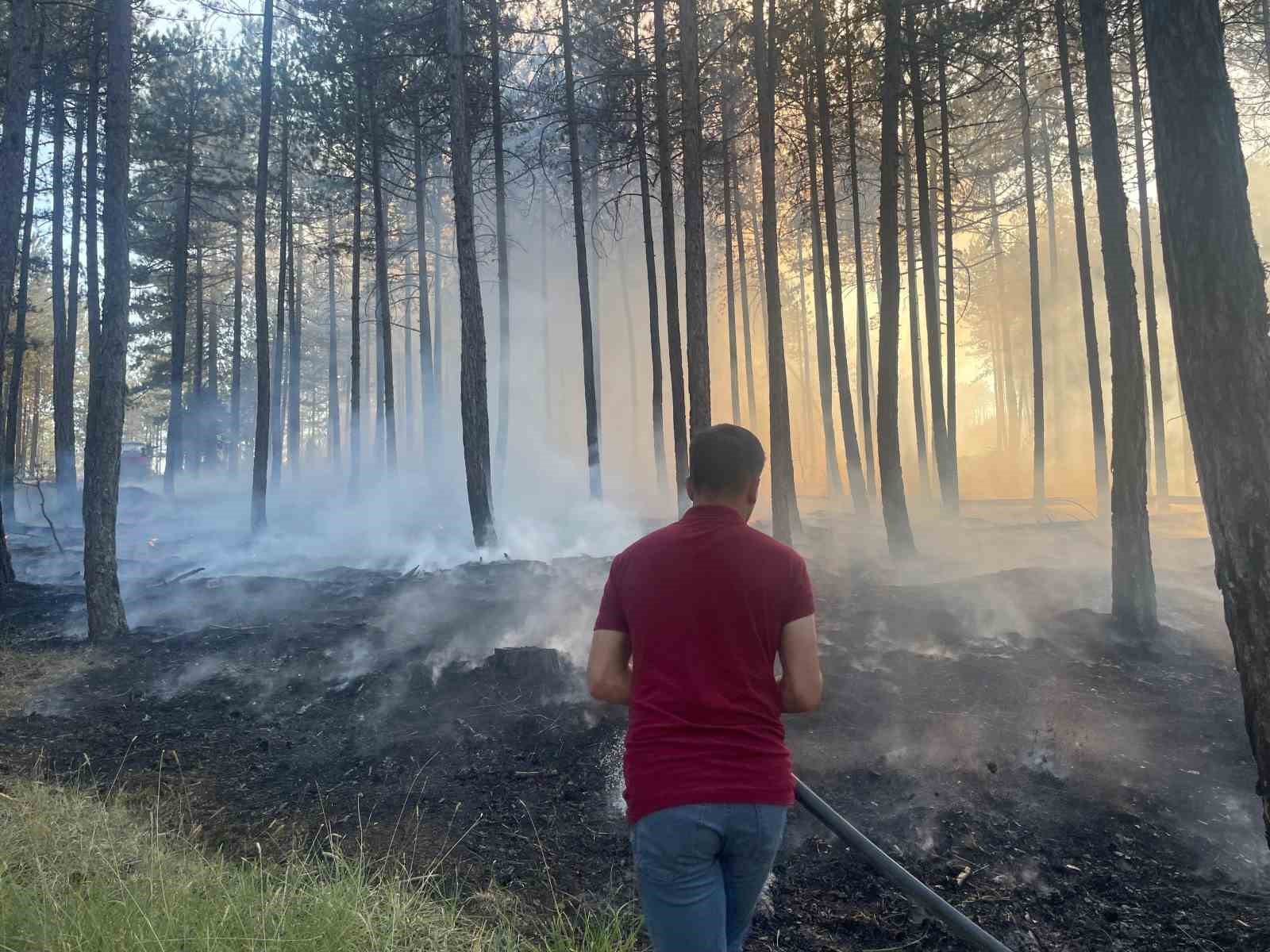 hanonude cikan orman yangini sonduruldu 1Q794hMp